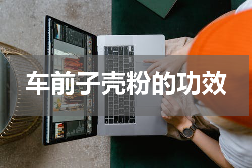 车前子壳粉的功效
