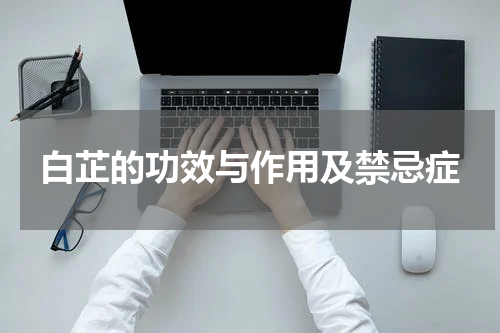白芷的功效与作用及禁忌症