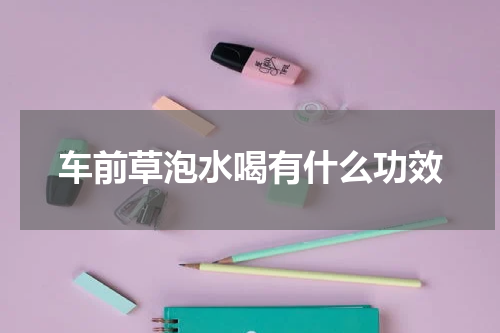 车前草泡水喝有什么功效