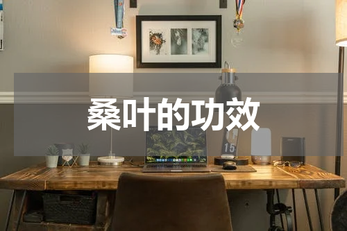 桑叶的功效