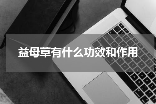 益母草有什么功效和作用