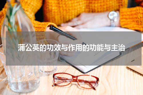 蒲公英的功效与作用的功能与主治