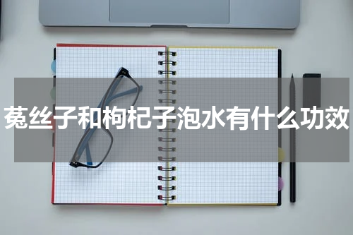 菟丝子和枸杞子泡水有什么功效