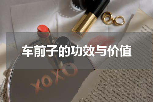 车前子的功效与价值
