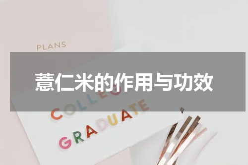 薏仁米的作用与功效