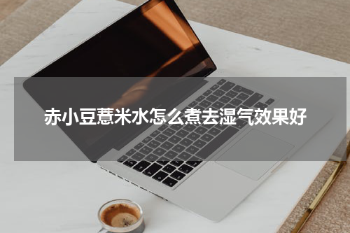 赤小豆薏米水怎么煮去湿气效果好