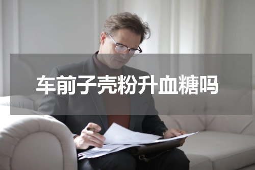 车前子壳粉升血糖吗