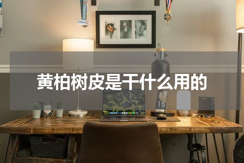 黄柏树皮是干什么用的