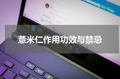 薏米仁作用功效与禁忌