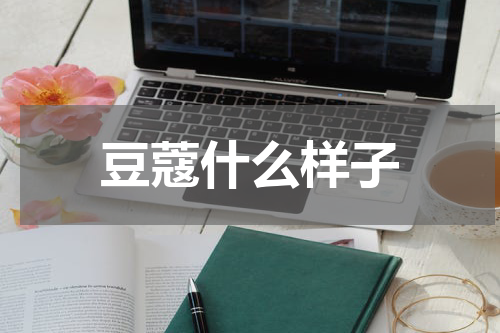 豆蔻什么样子