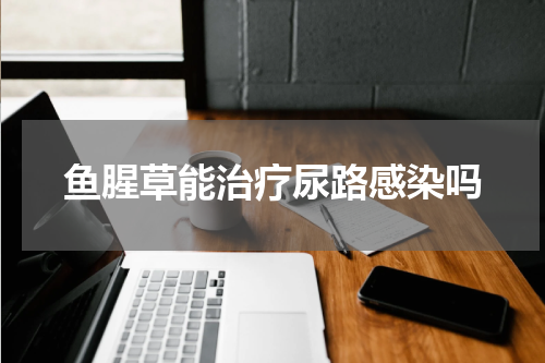 鱼腥草能治疗尿路感染吗