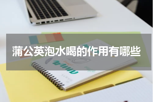 蒲公英泡水喝的作用有哪些