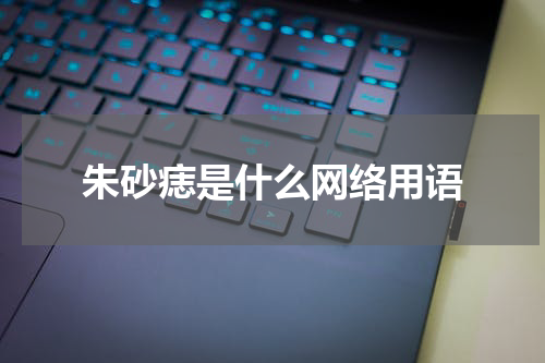 朱砂痣是什么网络用语