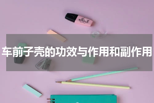 车前子壳的功效与作用和副作用