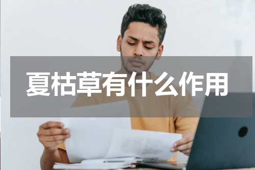 夏枯草有什么作用