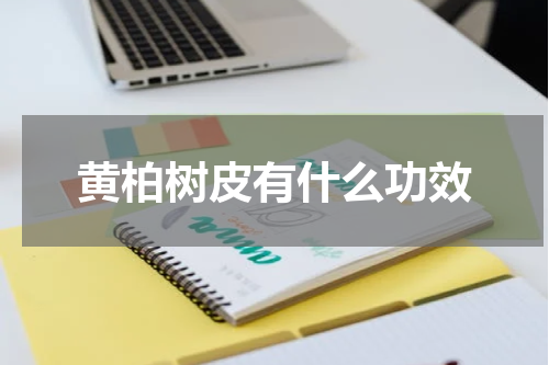 黄柏树皮有什么功效