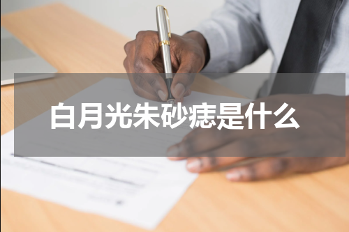 白月光朱砂痣是什么