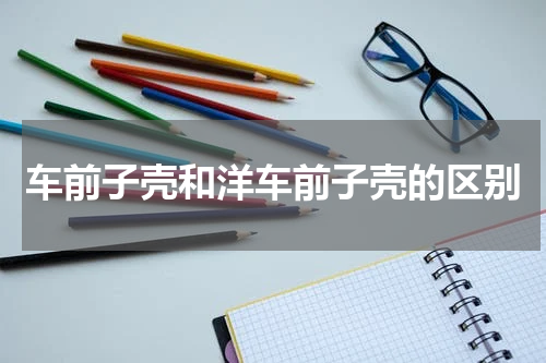 车前子壳和洋车前子壳的区别