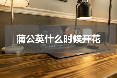 蒲公英什么时候开花