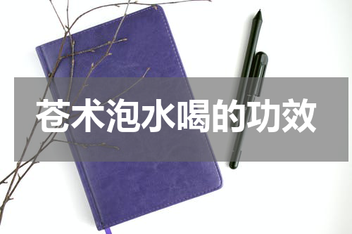 苍术泡水喝的功效