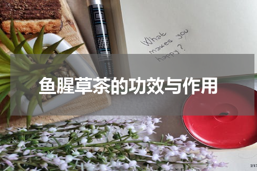 鱼腥草茶的功效与作用