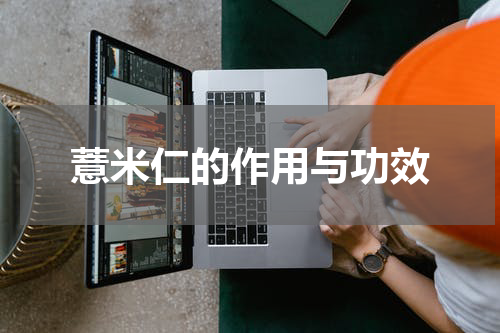 薏米仁的作用与功效