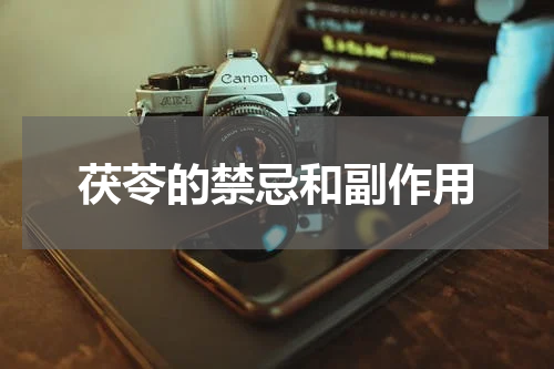 茯苓的禁忌和副作用