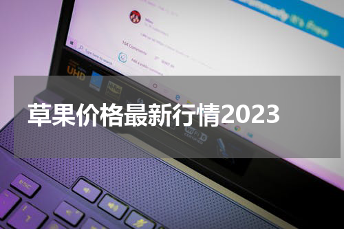 草果价格最新行情2023