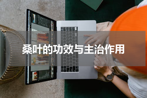 桑叶的功效与主治作用