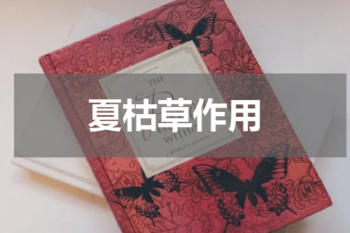 夏枯草作用