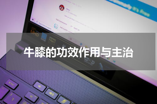 牛膝的功效作用与主治