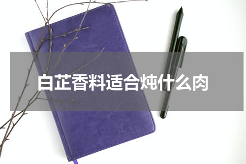 白芷香料适合炖什么肉