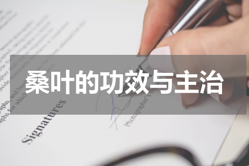 桑叶的功效与主治