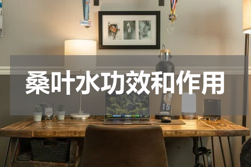 桑叶水功效和作用