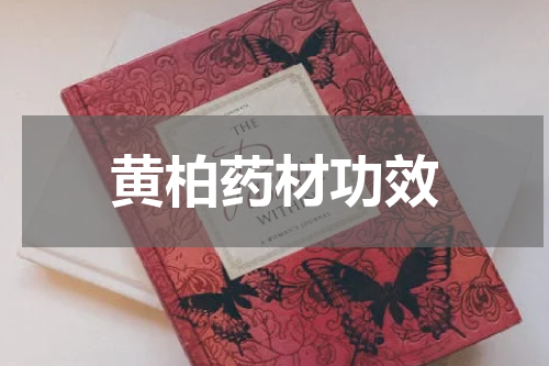 黄柏药材功效