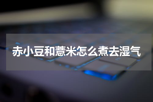 赤小豆和薏米怎么煮去湿气
