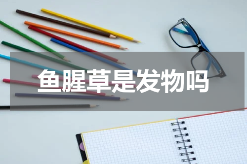 鱼腥草是发物吗