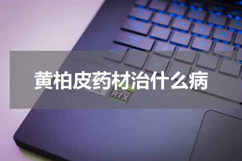 黄柏皮药材治什么病