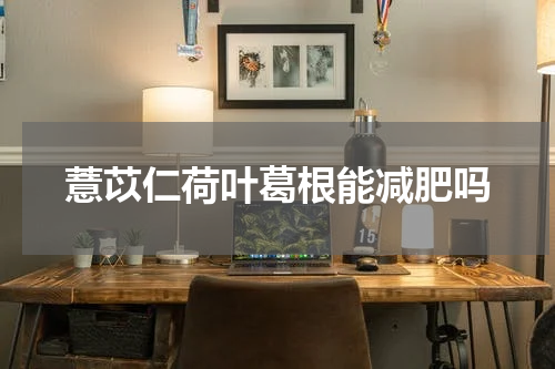 薏苡仁荷叶葛根能减肥吗
