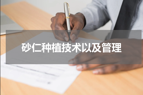 砂仁种植技术以及管理