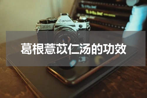 葛根薏苡仁汤的功效