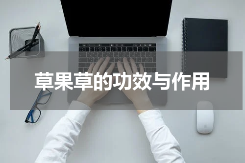 草果草的功效与作用