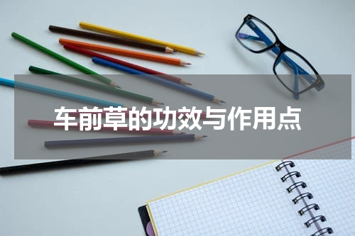 车前草的功效与作用点