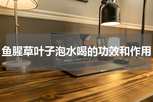 鱼腥草叶子泡水喝的功效和作用