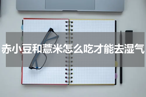 赤小豆和薏米怎么吃才能去湿气