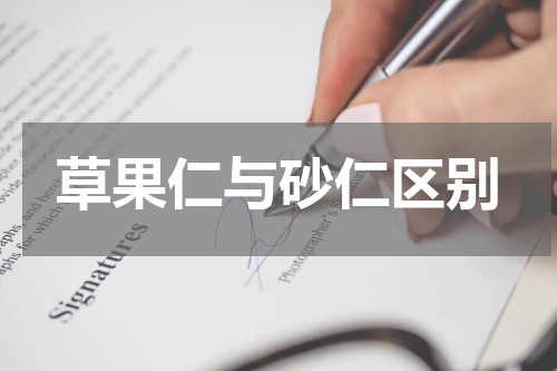 草果仁与砂仁区别