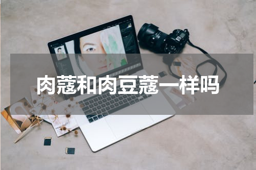 肉蔻和肉豆蔻一样吗