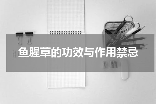 鱼腥草的功效与作用禁忌