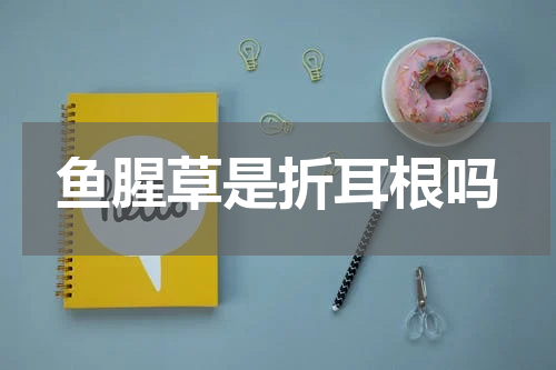 鱼腥草是折耳根吗