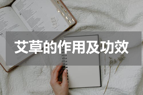 艾草的作用及功效
